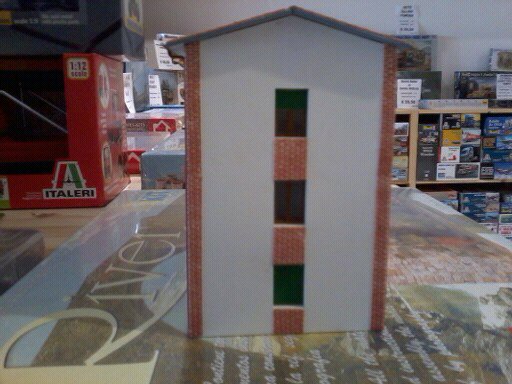 gatto michele 339.jpg