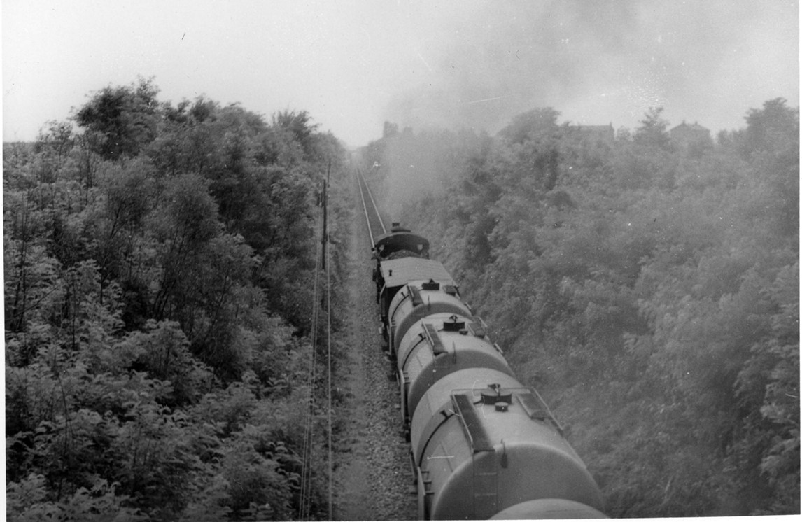 Copy of Foto%201%20600%20dpi.jpg