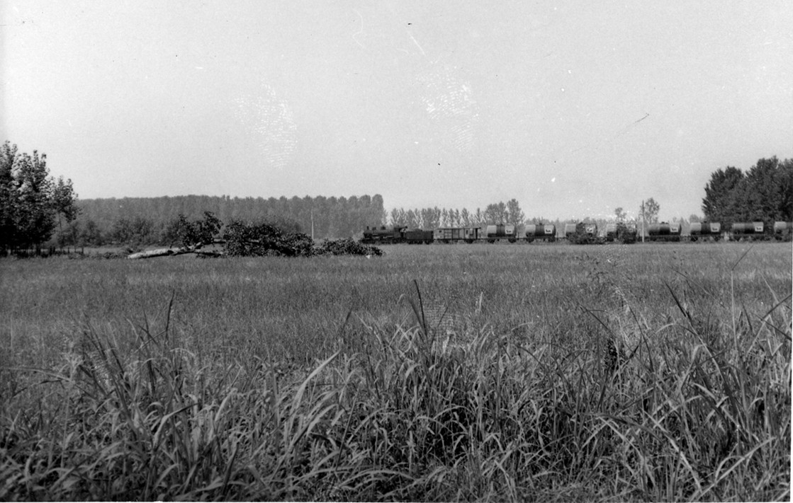 Copy of Foto%204%20720%20dpi.jpg