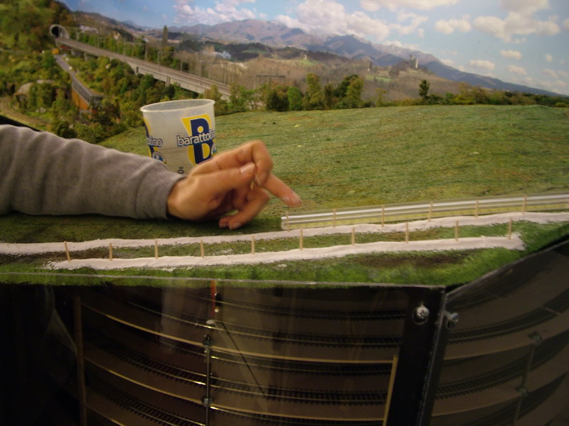 sarà un vigneto.... bbooohh.JPG