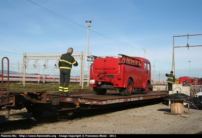 normal_311-0267vf[1].jpg