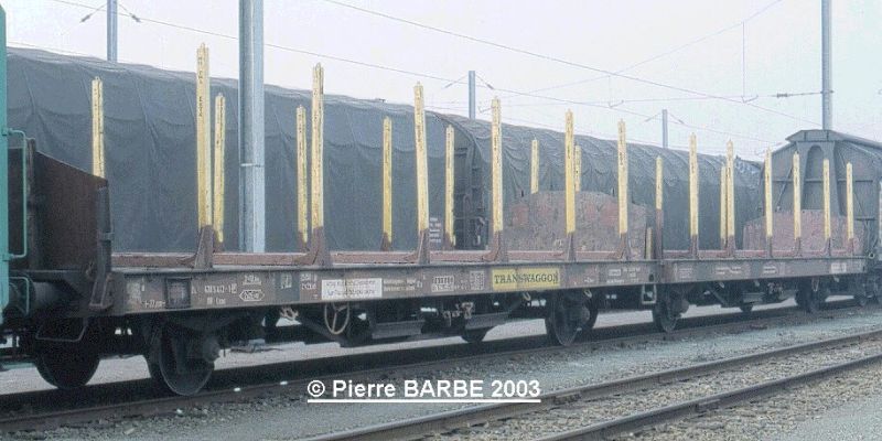 804305442_20030.jpg