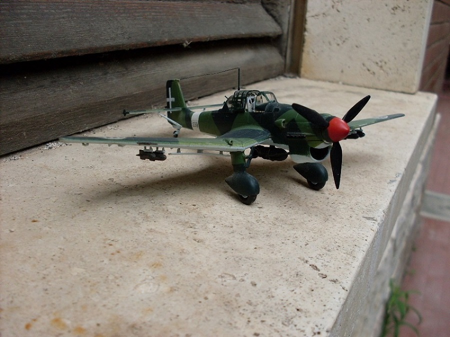 SDC11698 - Copia.JPG