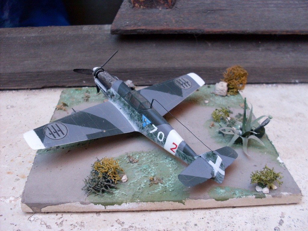 Copia di SDC11762.JPG