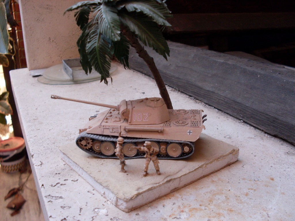 Copia di SDC11767.JPG