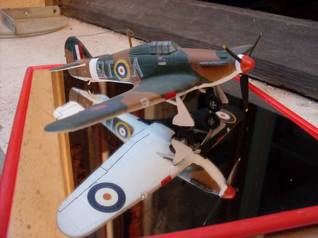 Copia di SDC11782.JPG