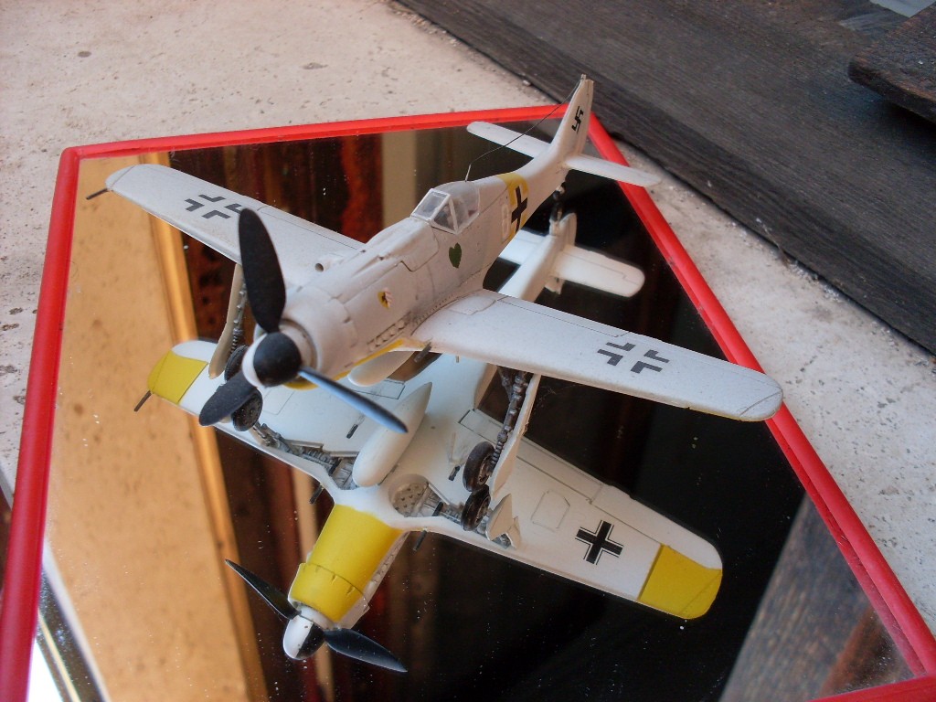 Copia di SDC11786.JPG