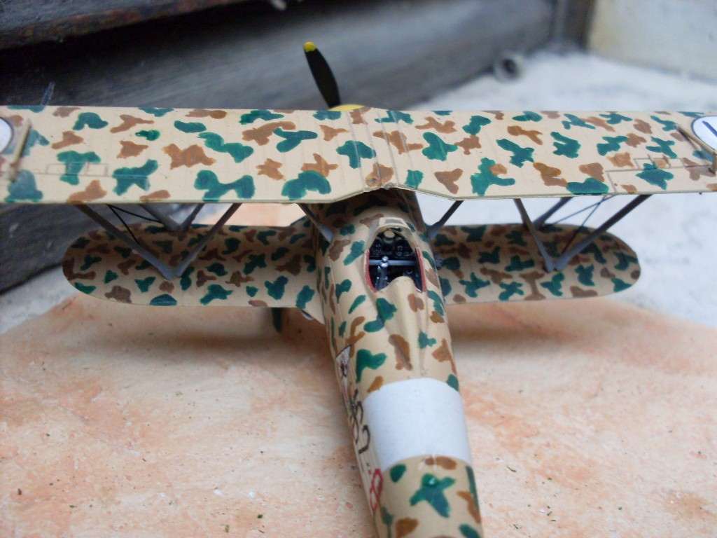 Copia di SDC11845.JPG