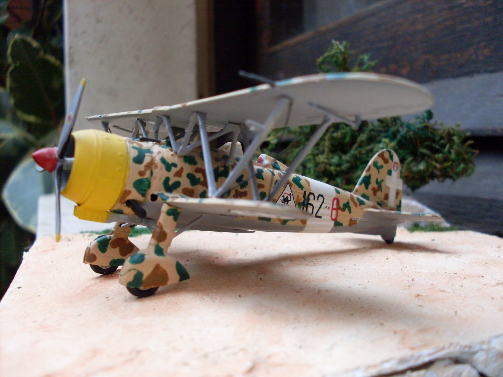 Copia di SDC11834.JPG