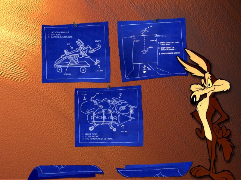 Wile-E.-Coyote-Disney-Cartoon-Wallpaper.jpg
