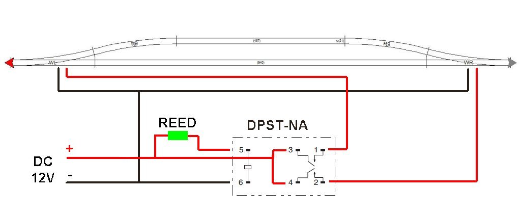 reed1.jpg