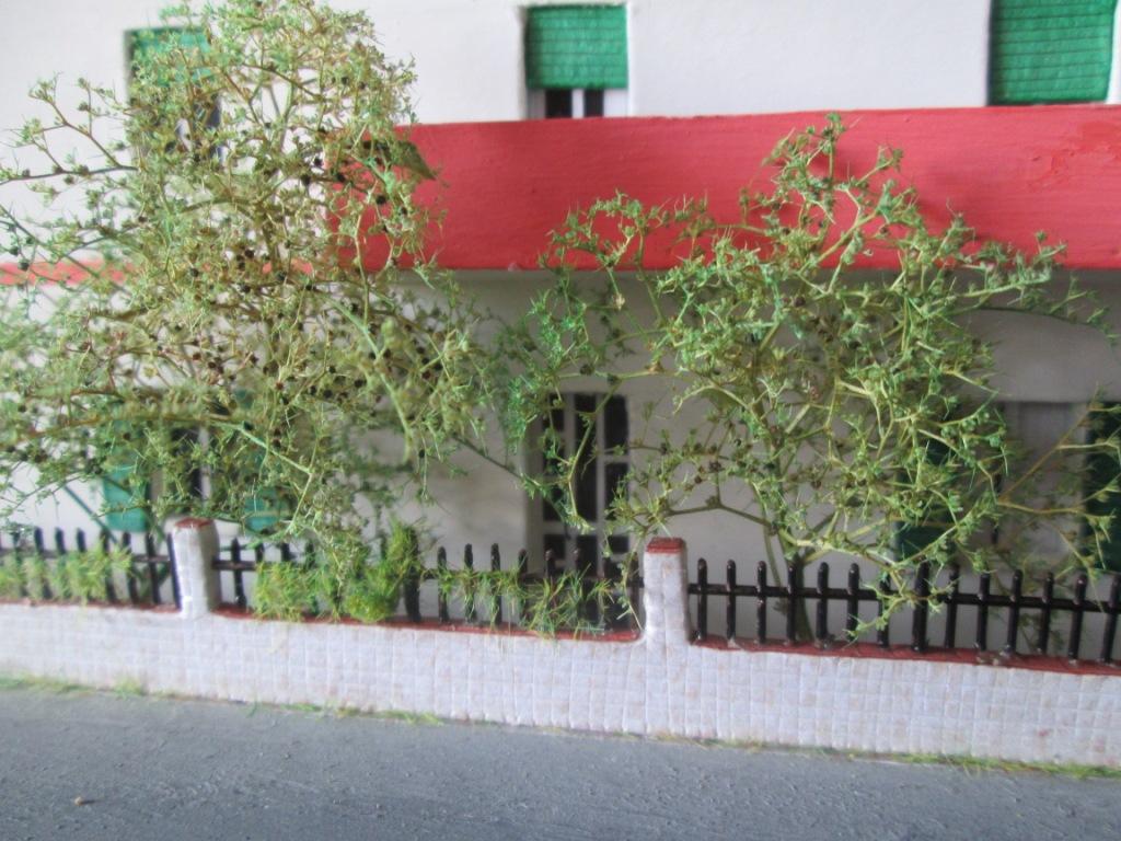 Immagine 008.jpg