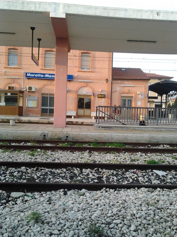 2014-11-15 07.31.06.jpg