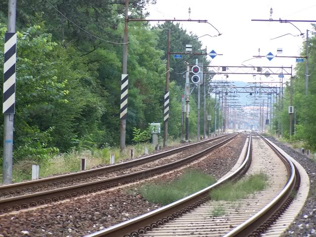 tavole orientamento su pali TE.jpg