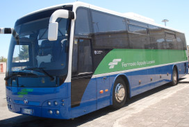 safari_rd_temsa fal.jpg