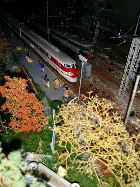 IMG_20150510_113521-1 (450 x 600).jpg