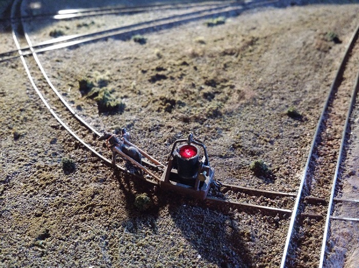 Siviera illuminata.jpg