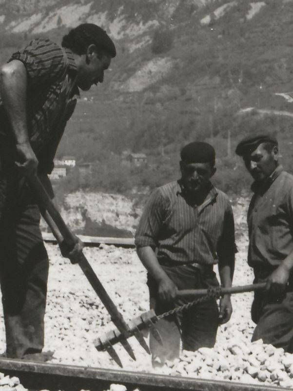 part Longarone 1964.jpg