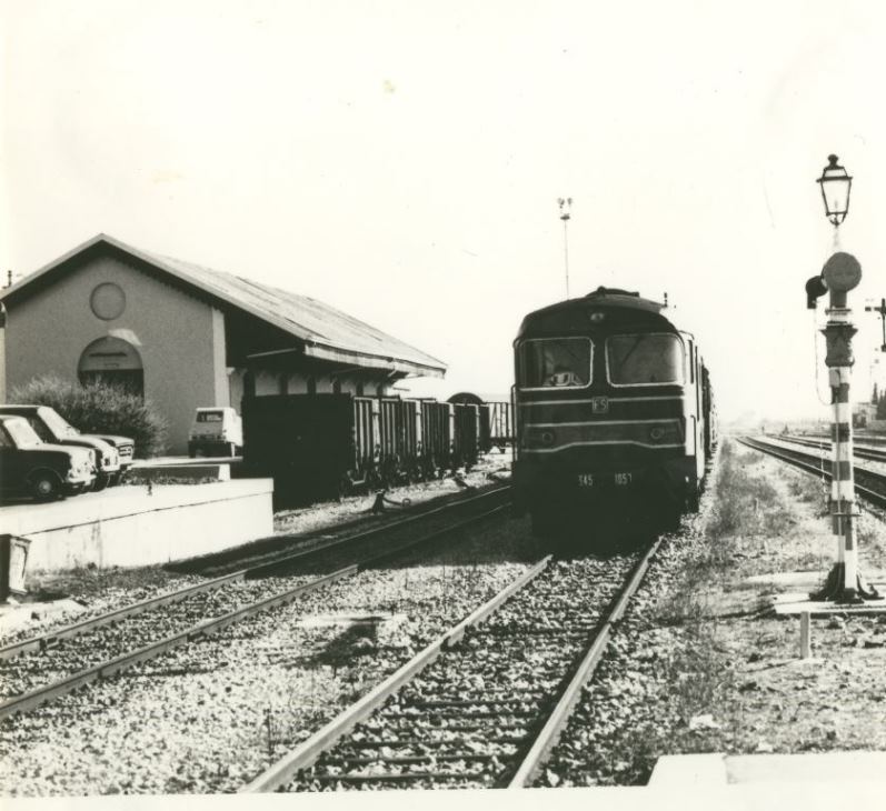 Castelfranco Veneto Foto FS (2).jpg