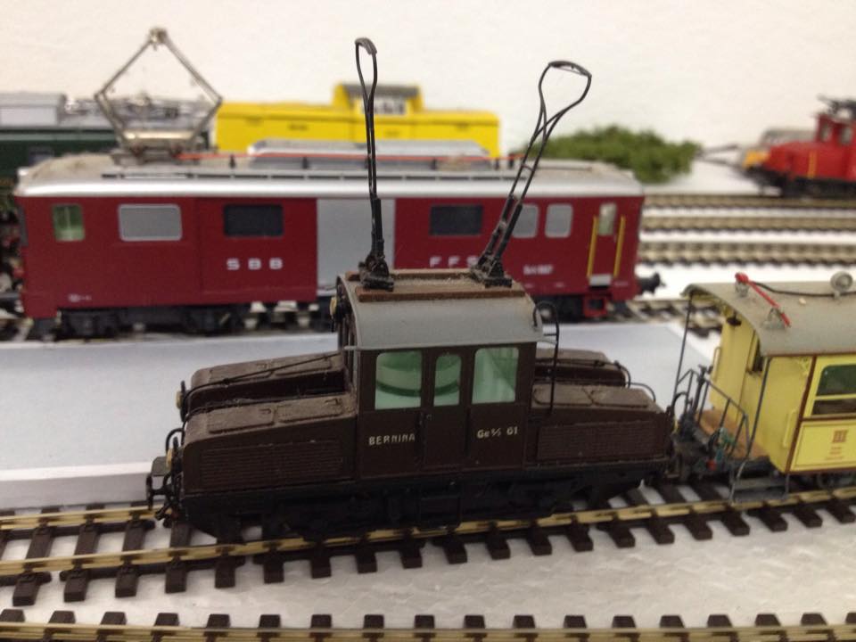 cocodrillo guzwold linea del Bernina.jpg