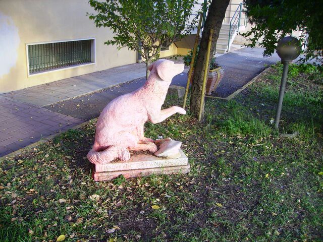 IMG_20150909_011.jpg