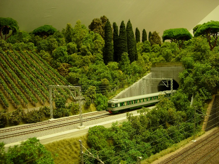 Ale 601-01.jpg