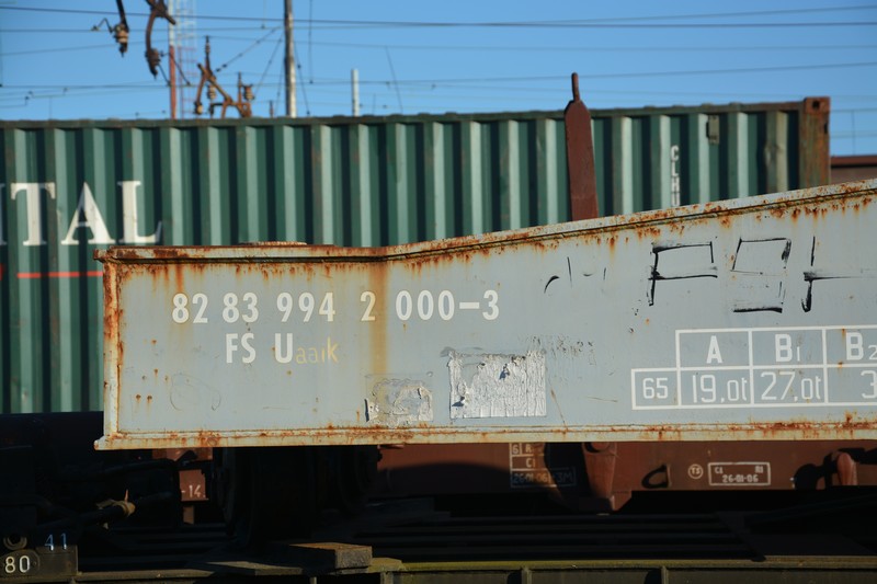 DSC_0915.JPG