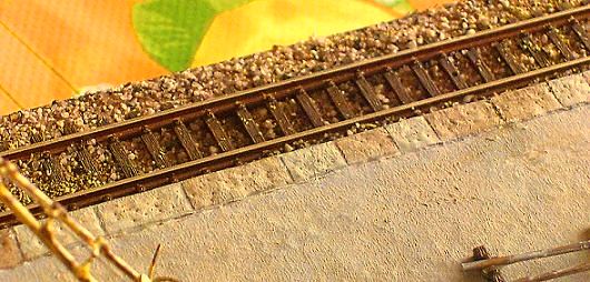 HPIM2917 - Copia.JPG