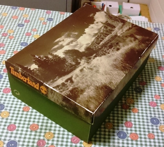 carro Laes (232).jpg